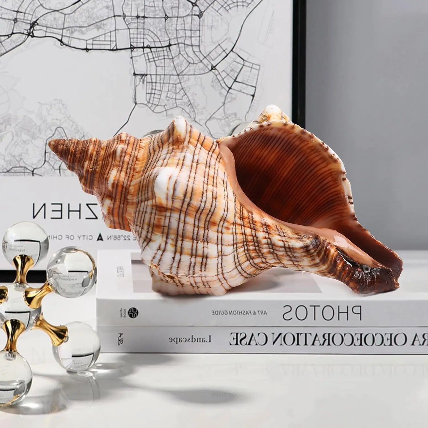 5.5-5.9 Inch Seashell 2PCS Conch Shell Large Natural for Collectible Figurines Fish Tank Wedding Decor Beach Decor