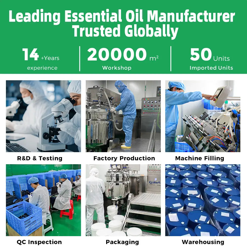 Natural Organic Peppermint Oil for Raw Material Wholesale Cosmetic Grade Bulk Price