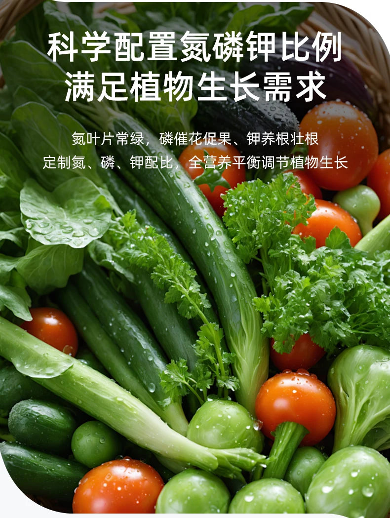 Soybean Meal Organic Fertilizer for Home Vegetable Garden Fermentation and Rotten Potted Vegetable Plants Organic Bacteria