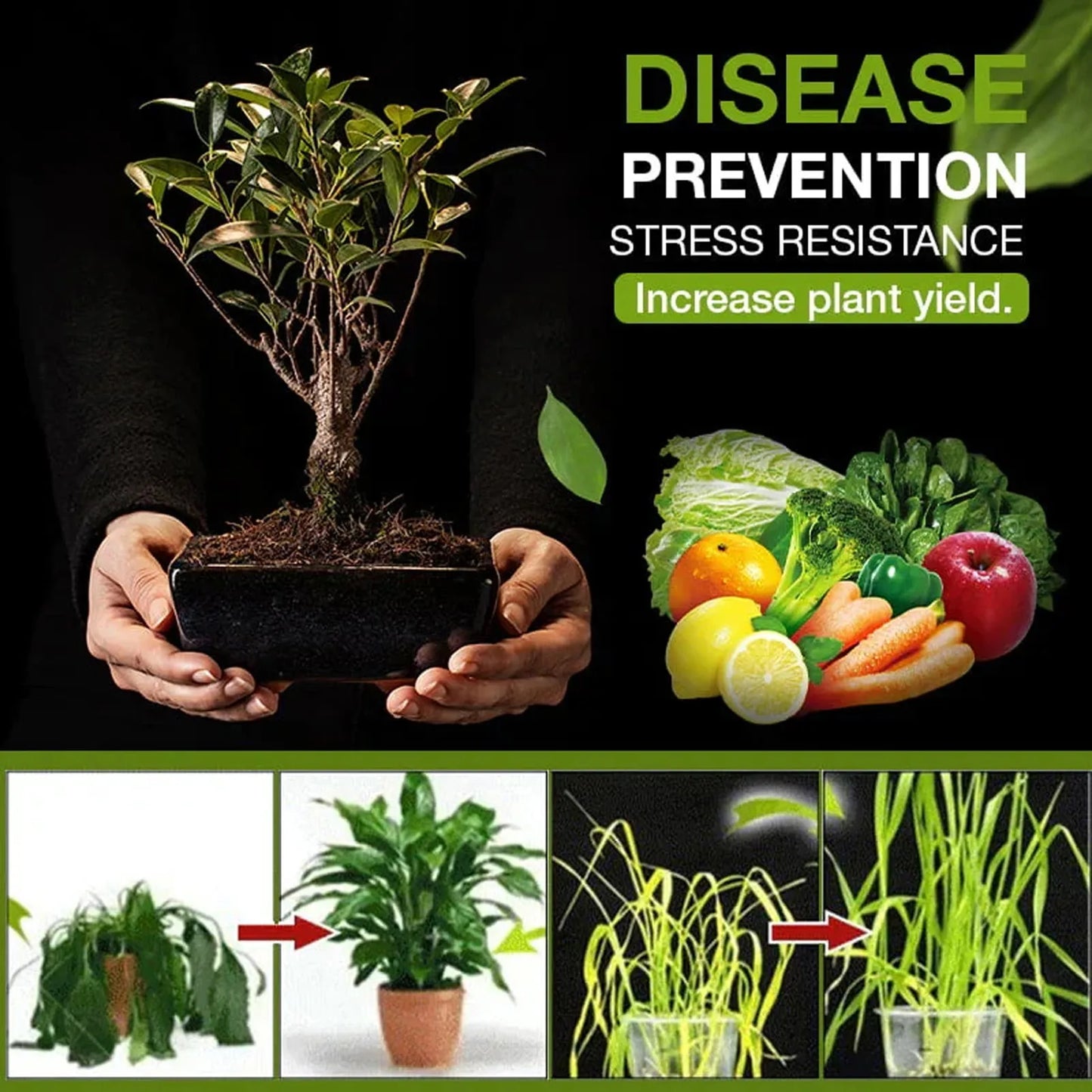 Soil Activator Organic Plant Growth Supplement Root Stimulant Fertilizer Enhances Nutrients Promotes Healthy Gardening Care