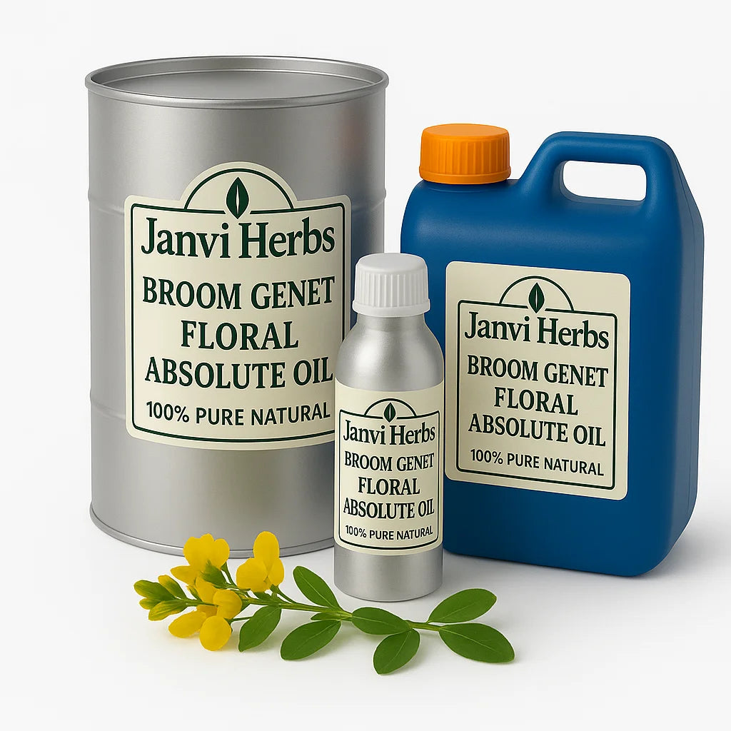 Certified Organic Premium Natural Perfume Ingredient Broom Genet Absolute Oil Pure Essential Oil for Fragrance Industry