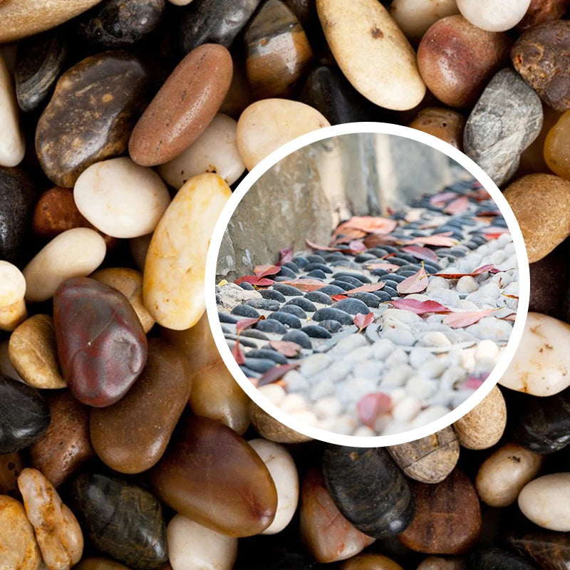 Rainflower Stone Natural Pebble Fish Tank Landscape Laying Stone Flower Planting Pottery Decoration Small Stones Colorful