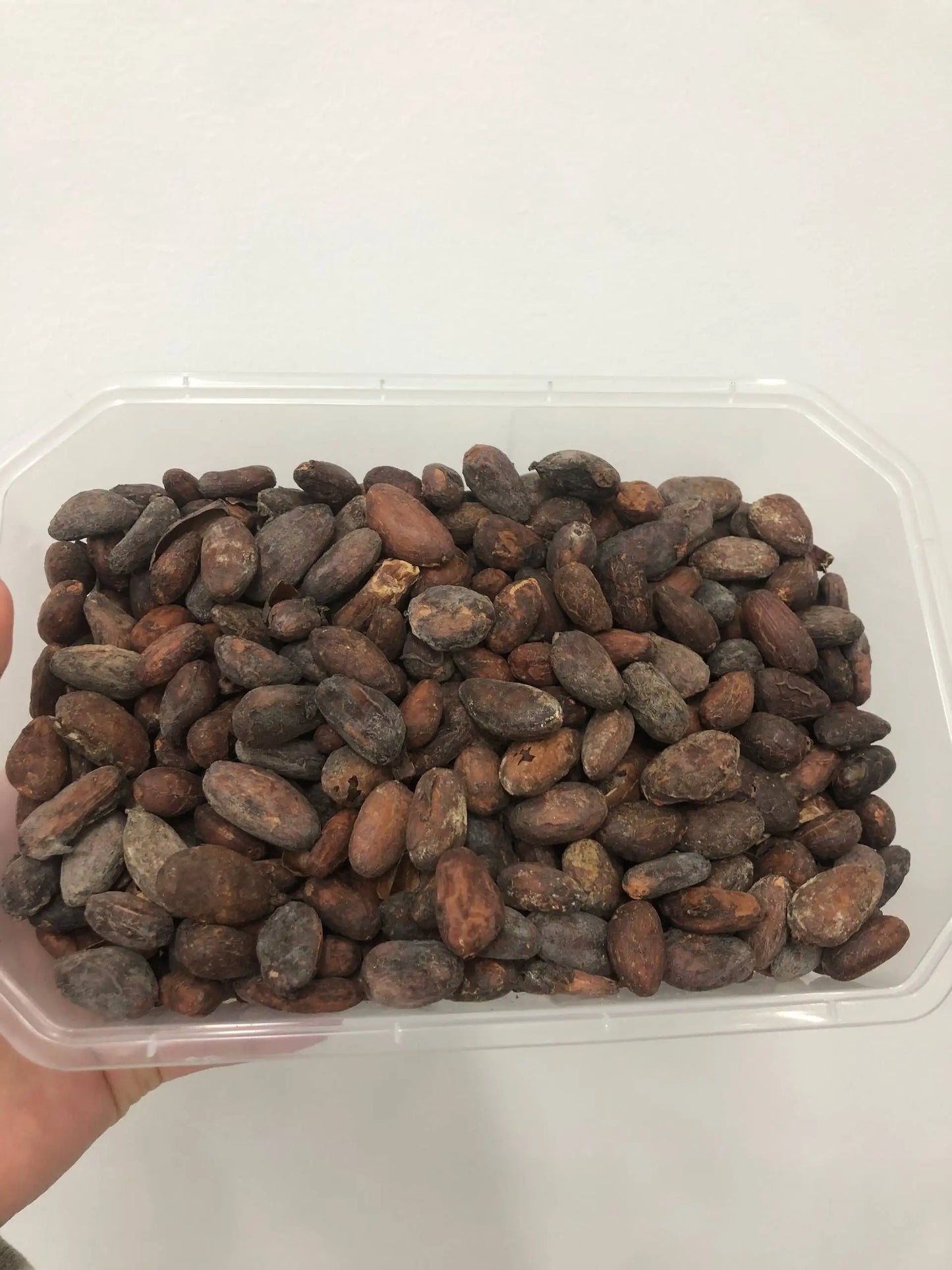 Vietnam Organic Criollo Cocoa Beans-Natural Roasted 100% Cacao Bulk Supply 25kg Vietnature Brand Food Grade