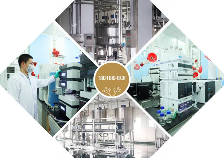 Factory Supply Organic Fruit Strawberry Powder Freeze Dried Strawberry Powder With Best Price
