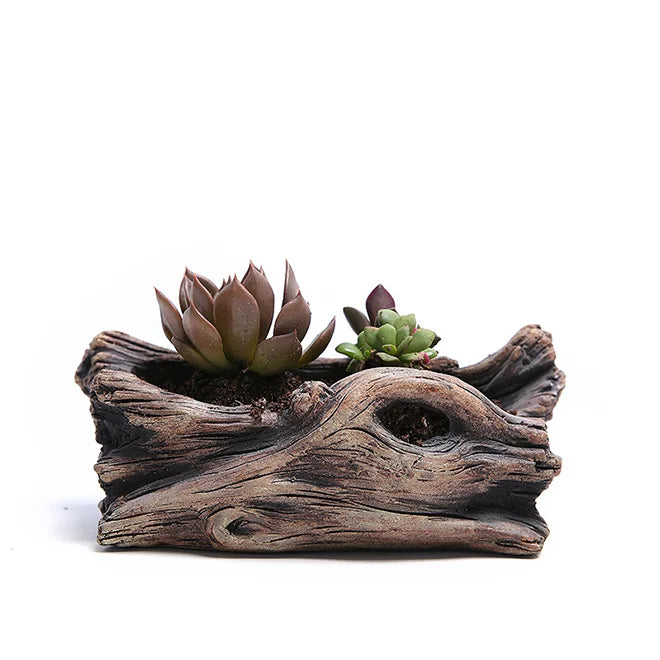 Dropship Succulent Planter Driftwood Stump Tree Root Natural Shape Vintage Concrete Cement Cactus Plant Pots