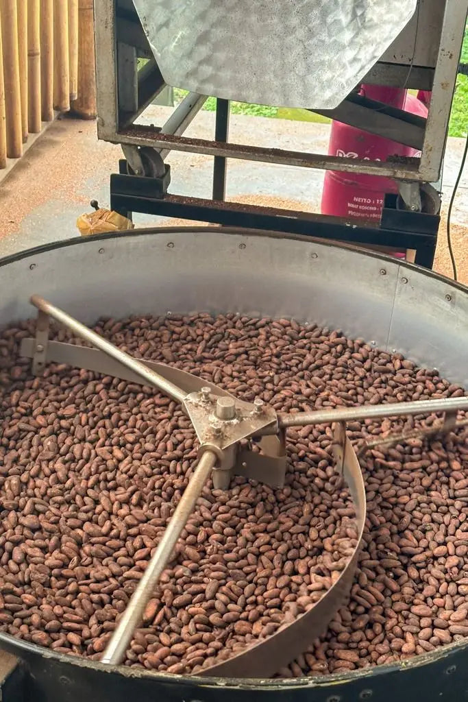 Organic Roasted Cacao Beans-Premium Quality 100% Cocoa 25kg From Vietnam for Chocolate Making & Snacking