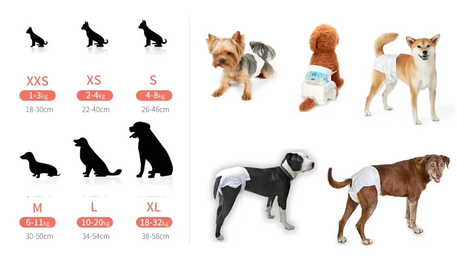 Free Sample Adjustable Japanese SAP Deodorant Soft Leakproof Organic Biodegradable Pet Diaper for Dogs Fast Shipping PE Film