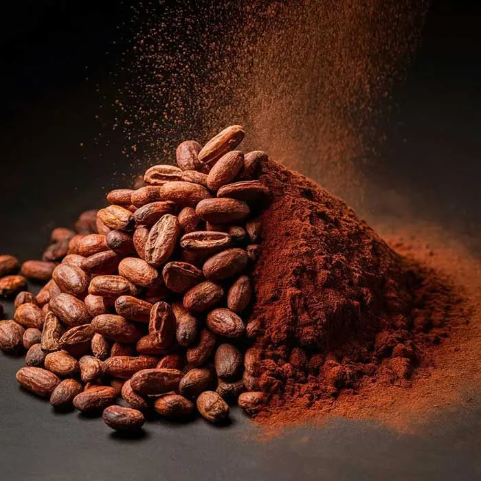 Organic Roasted Cacao Beans-Premium Quality 100% Cocoa 25kg From Vietnam for Chocolate Making & Snacking