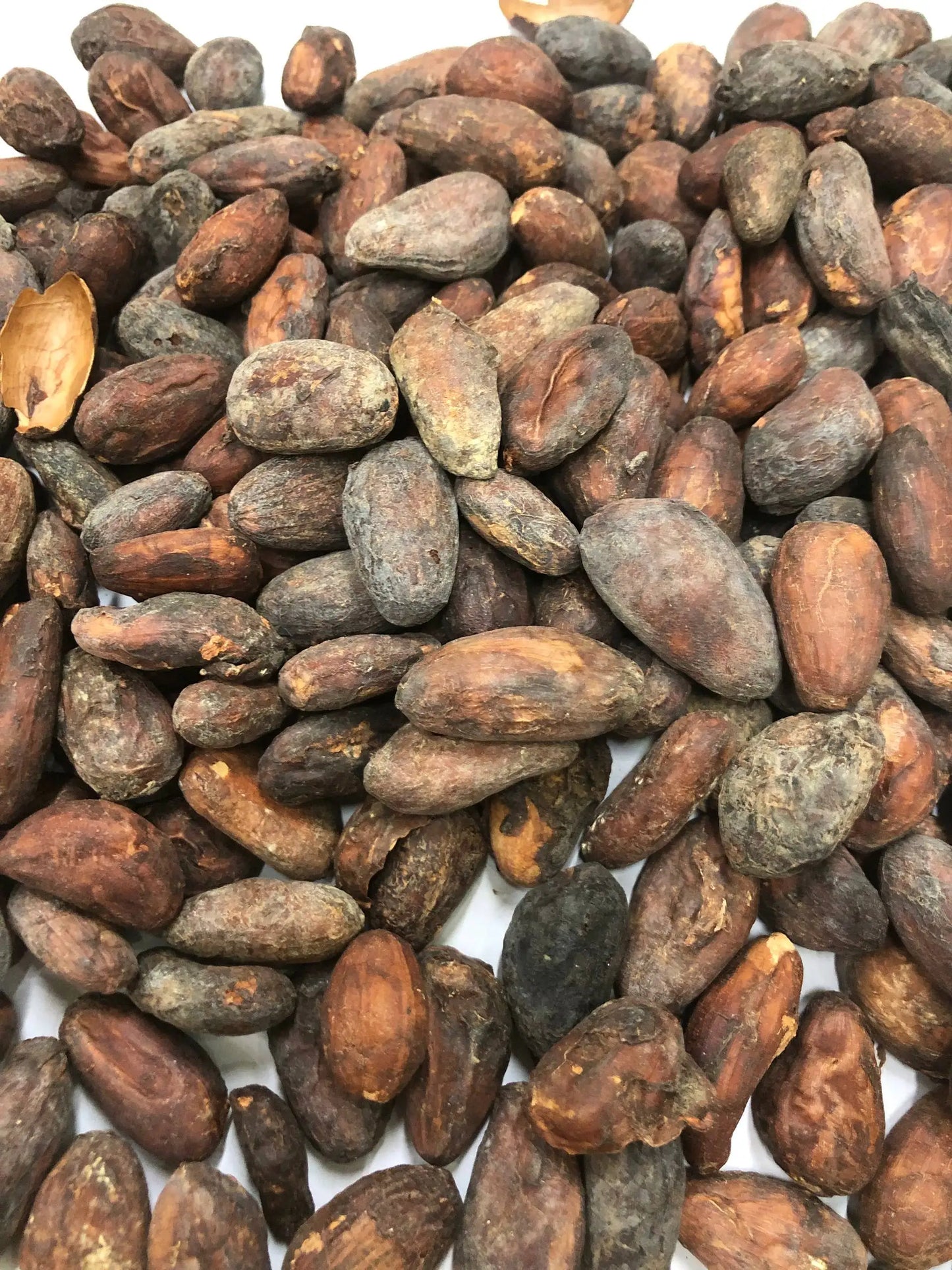 Vietnam Organic Criollo Cocoa Beans-Natural Roasted 100% Cacao Bulk Supply 25kg Vietnature Brand Food Grade