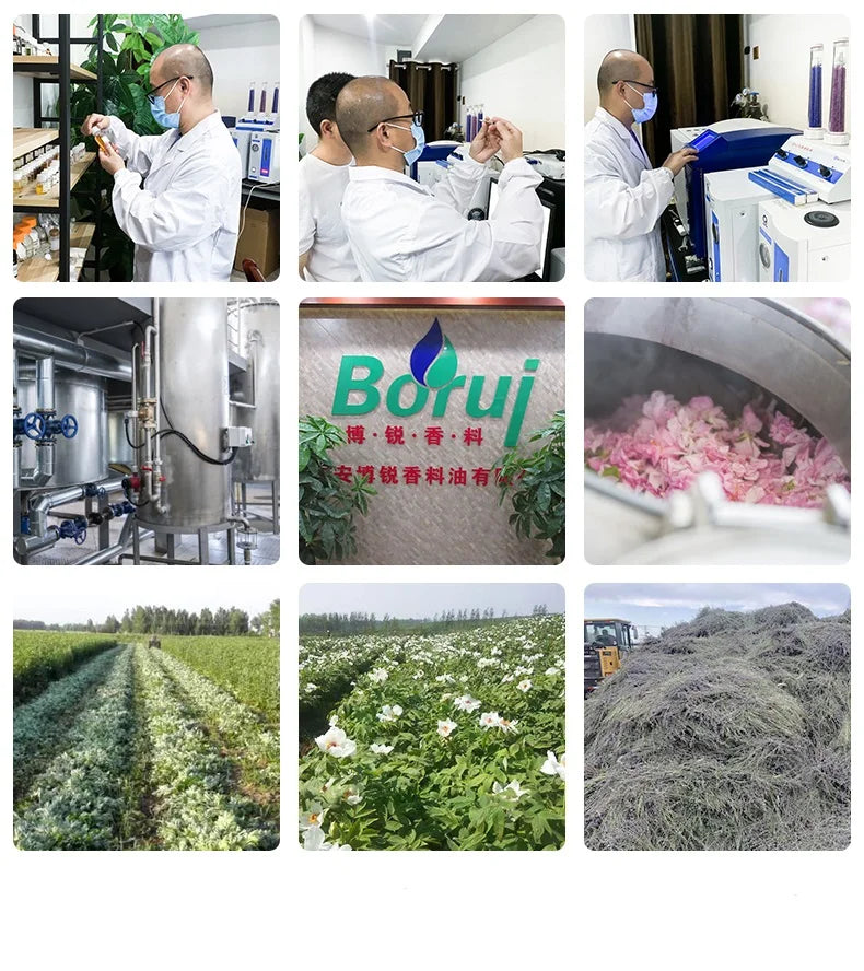 Wholesale Bulk Price Private Label Cosmetics Facial 100% Raw Pure Natural Organic Rose Essential Oil