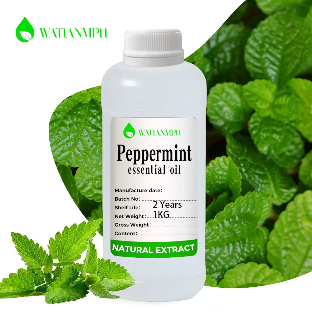 Natural Organic Peppermint Oil for Raw Material Wholesale Cosmetic Grade Bulk Price