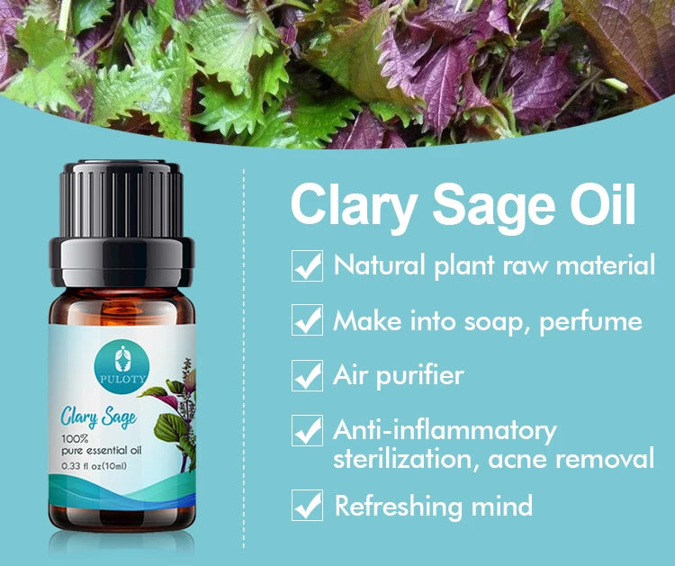 Manufacturer Wholesale Bulk Customised Private Label Free Sample Pure Natural Organic Clary Sage Oil for Skin Care