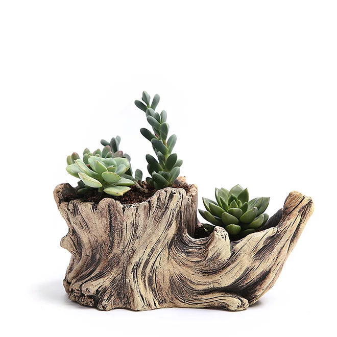 Dropship Succulent Planter Driftwood Stump Tree Root Natural Shape Vintage Concrete Cement Cactus Plant Pots