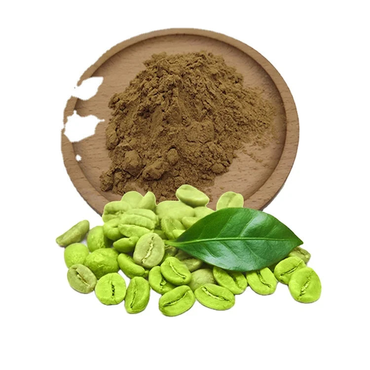 Hot Selling Organic Green Coffee Bean Extract Green Coffee Beans Powder