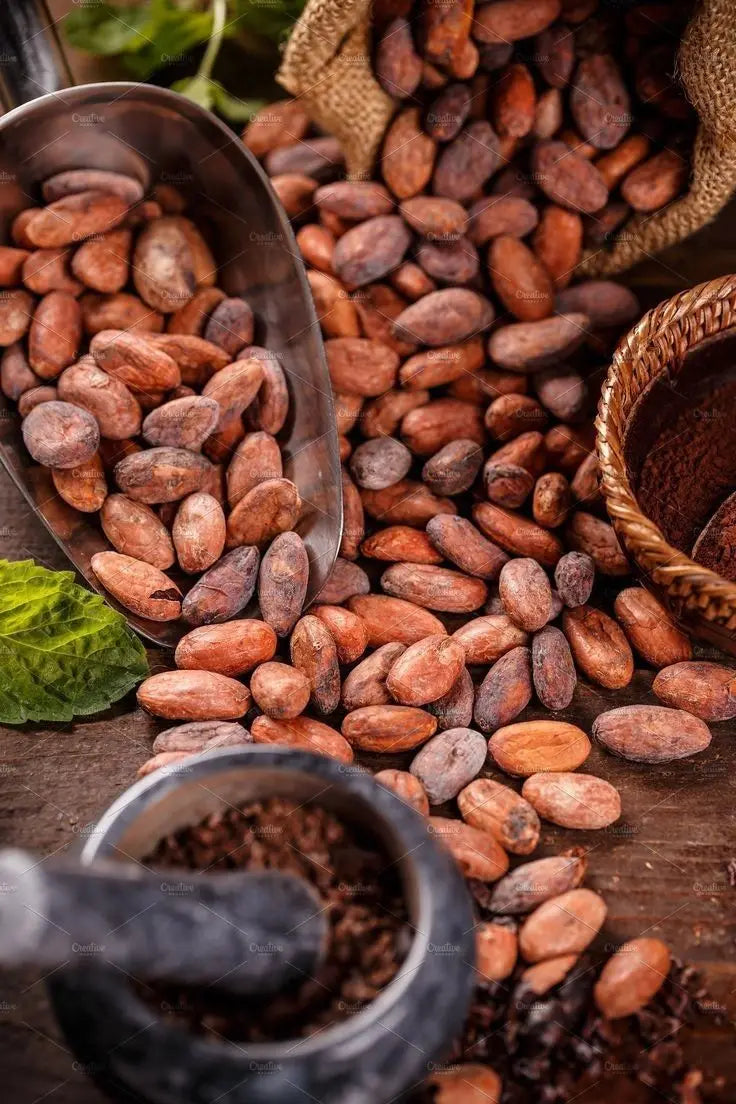 Organic Roasted Cacao Beans-Premium Quality 100% Cocoa 25kg From Vietnam for Chocolate Making & Snacking
