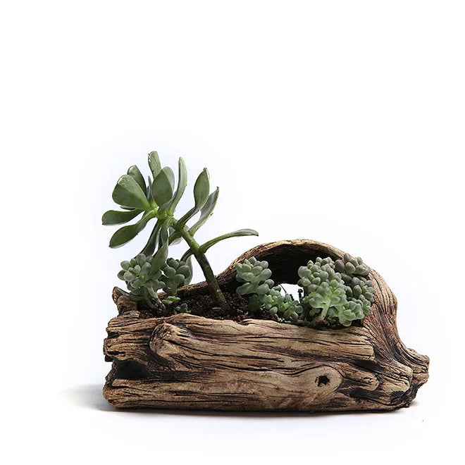 Dropship Succulent Planter Driftwood Stump Tree Root Natural Shape Vintage Concrete Cement Cactus Plant Pots
