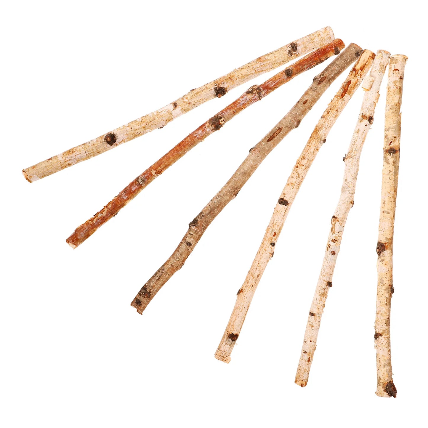 6pcs Natural Wood Sticks Twigs Branches for Crafts DIY Supplies Flower Arrangement Decor Photo Prop Dry Branches Stick Projects