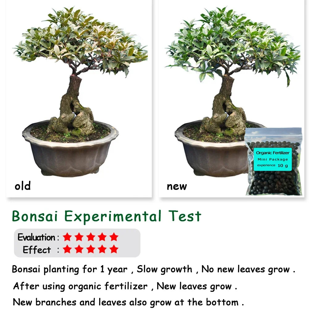 10 g Organic Fertilizer Mini Package Green General Purpose Safe And Pollution Free Use Flower Plant Food For Garden Bonsai