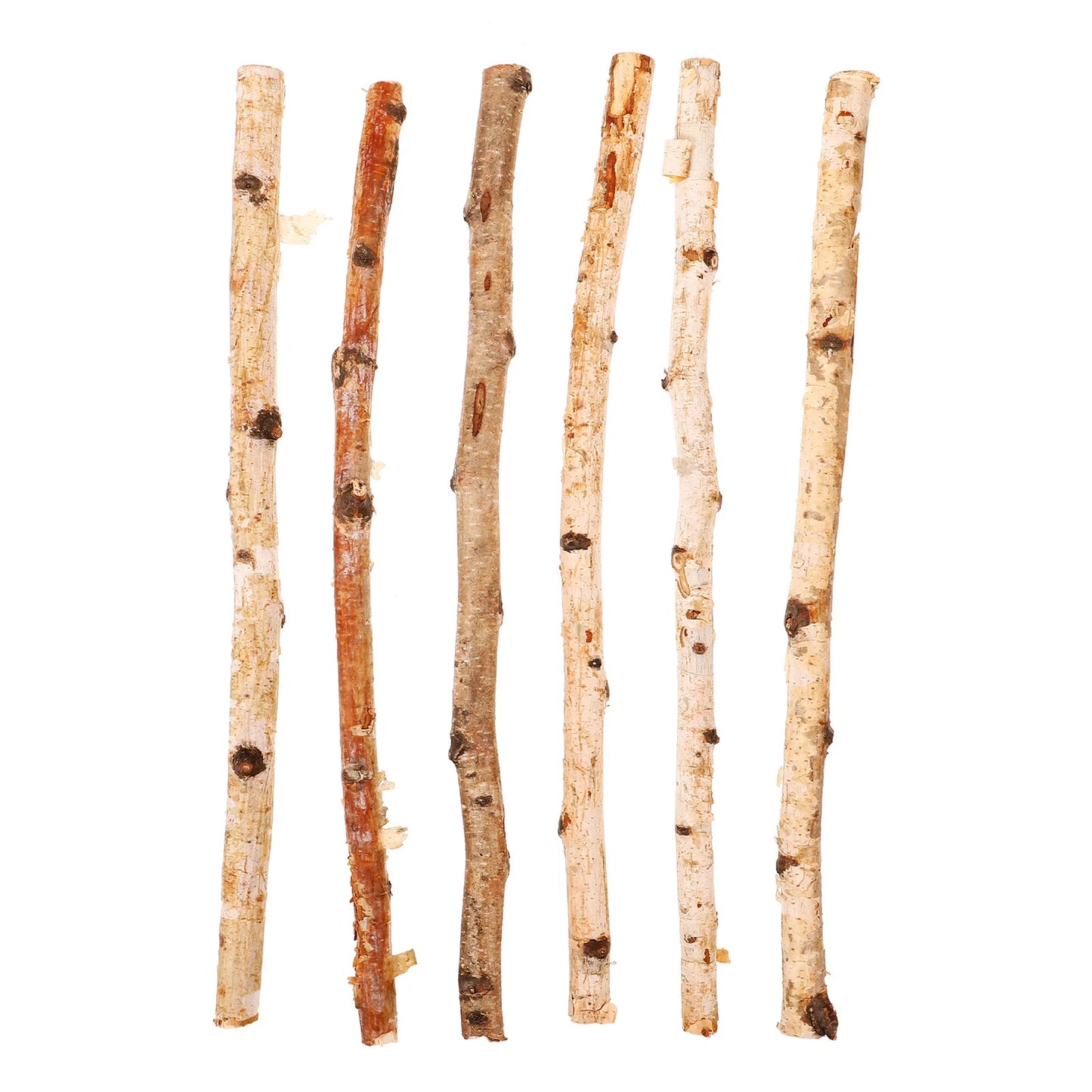 6pcs Natural Wood Sticks Twigs Branches for Crafts DIY Supplies Flower Arrangement Decor Photo Prop Dry Branches Stick Projects