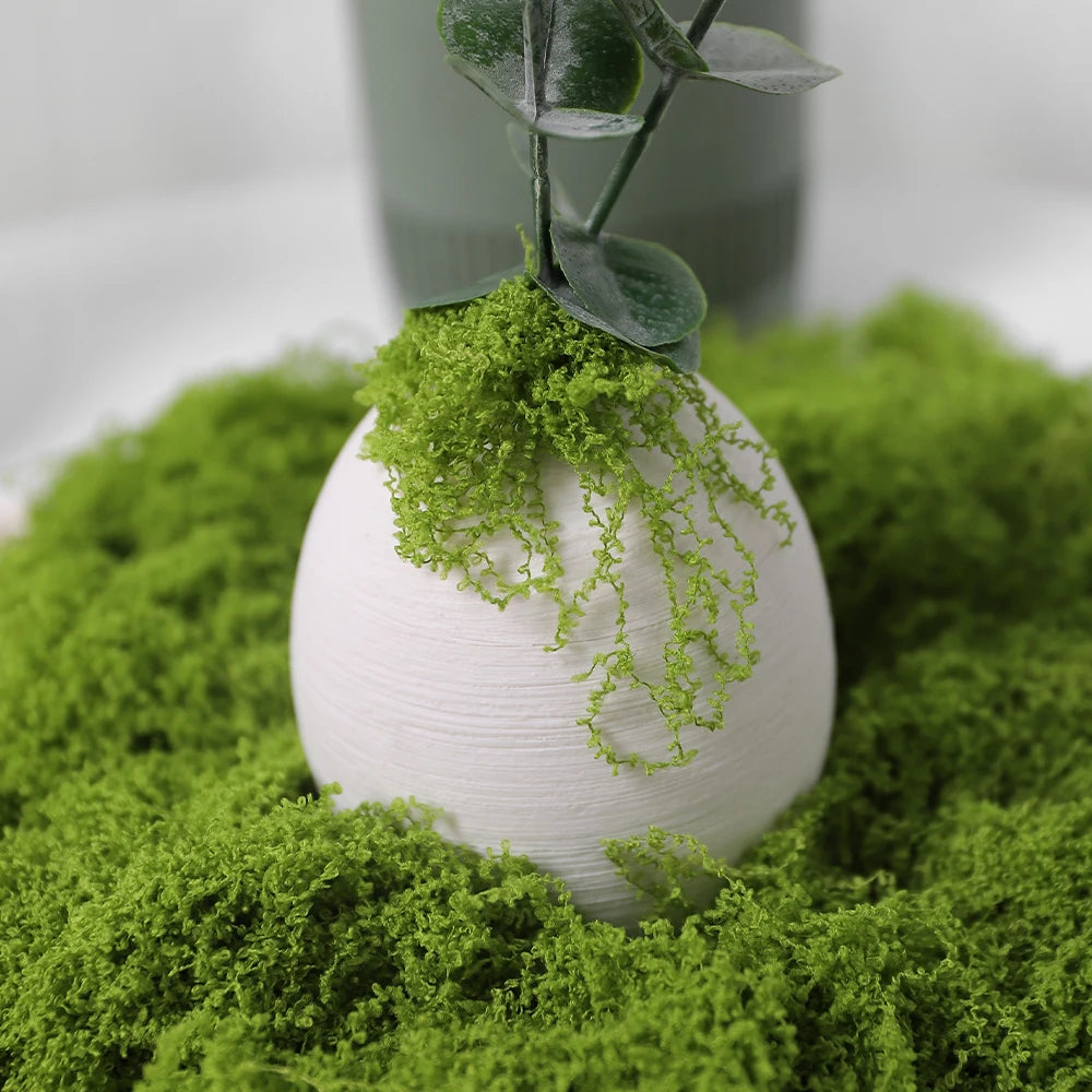 30/50/100g Artificial Green Plants Moss Grass Home Living Room Garden Decoration Mini Landscape Fake Flower DIY Crafts