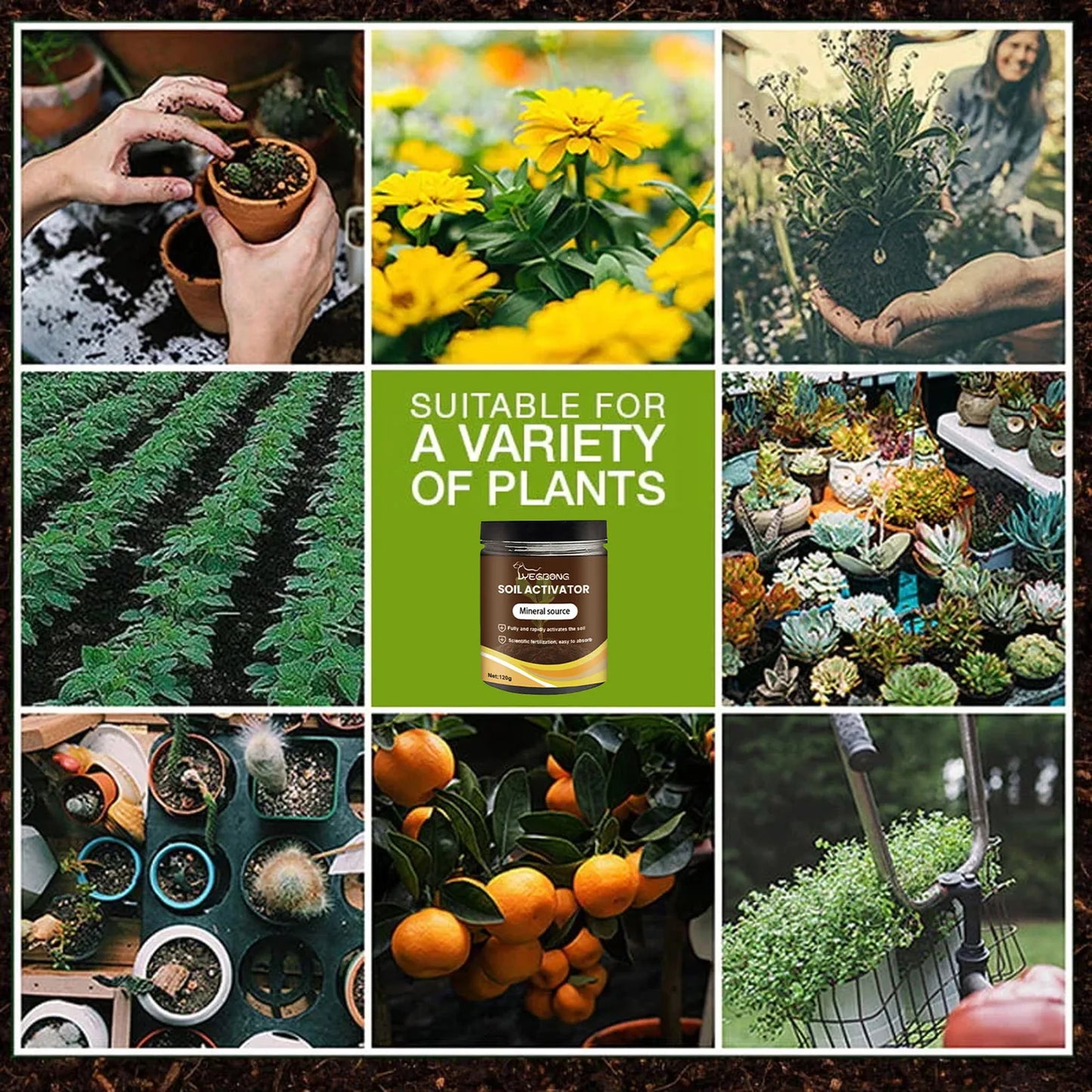 Soil Activator Organic Plant Growth Supplement Root Stimulant Fertilizer Enhances Nutrients Promotes Healthy Gardening Care