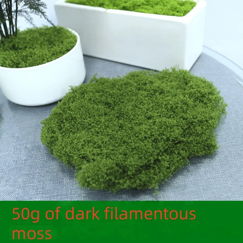 30/50/100g Artificial Green Plants Moss Grass Home Living Room Garden Decoration Mini Landscape Fake Flower DIY Crafts