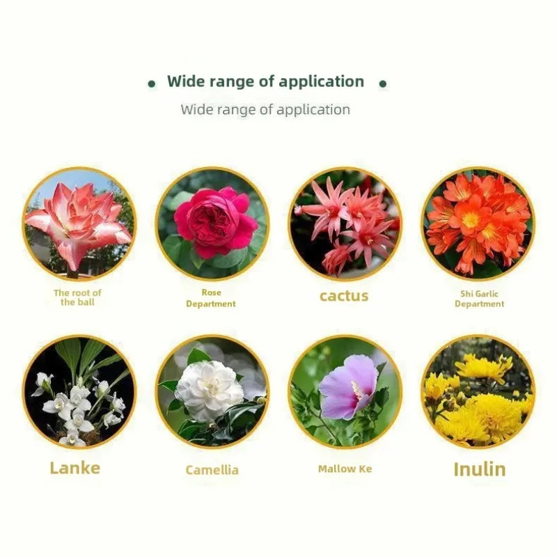 Organic Bone Powder Flower Essence Fatty Acid Salt-free Multiple Succulent Plant Gardening Organic Home Use Calcium Promotion