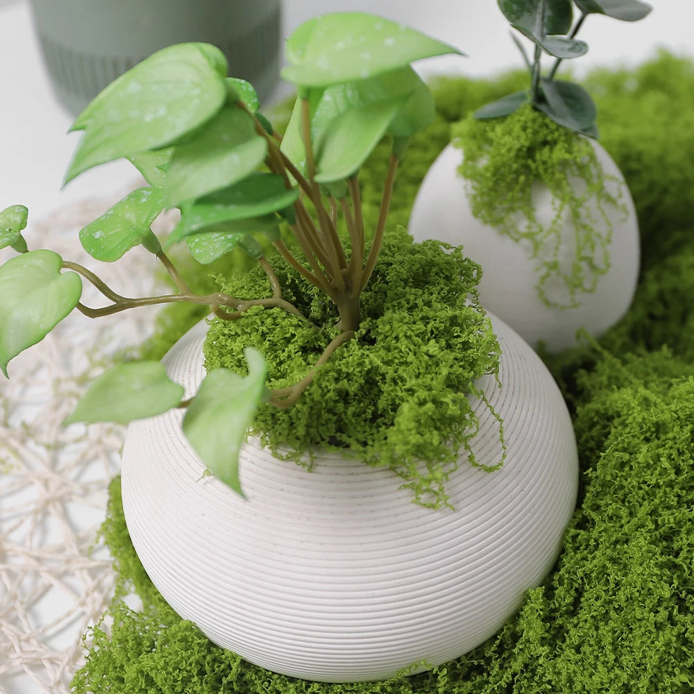 30/50/100g Artificial Green Plants Moss Grass Home Living Room Garden Decoration Mini Landscape Fake Flower DIY Crafts