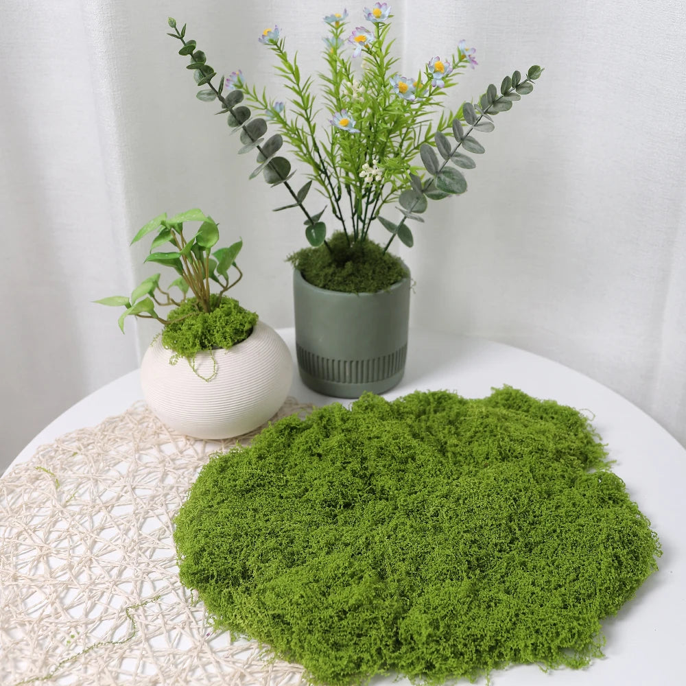 30/50/100g Artificial Green Plants Moss Grass Home Living Room Garden Decoration Mini Landscape Fake Flower DIY Crafts
