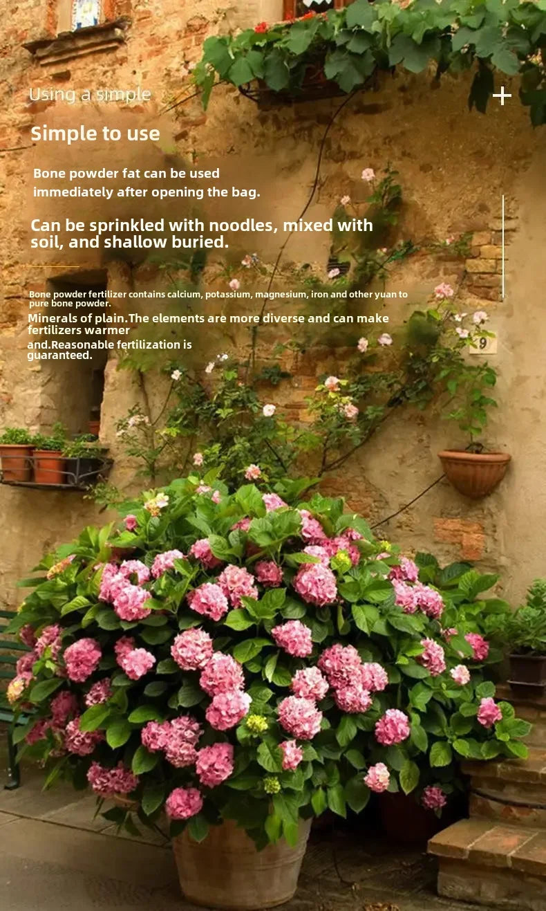 Organic Bone Powder Flower Essence Fatty Acid Salt-free Multiple Succulent Plant Gardening Organic Home Use Calcium Promotion