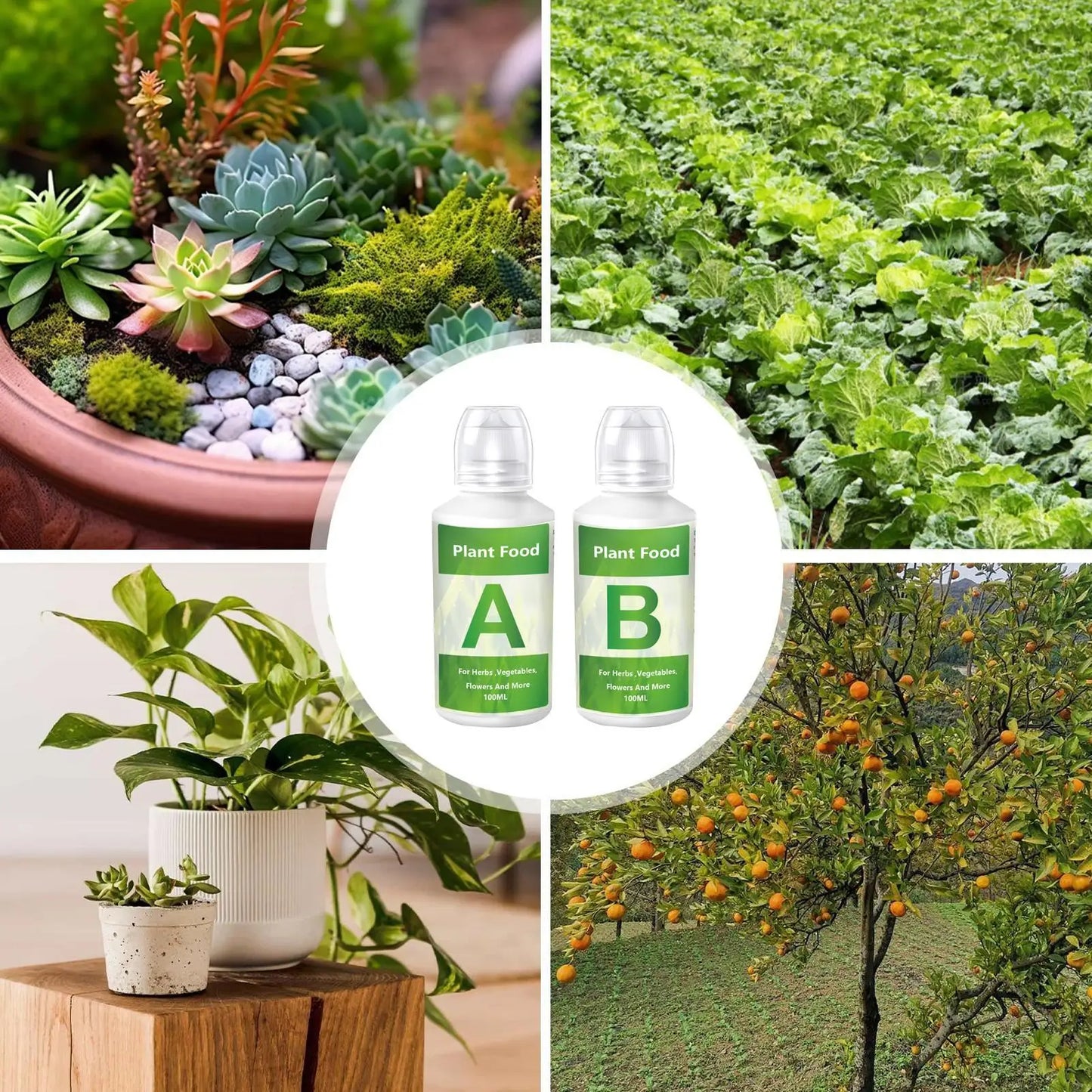 Hydroponic Nutrient Solution Organic Plant Food Organic Plant Food A & B Liquid Hydroponics Fertilizer Hydroponic Nutrients