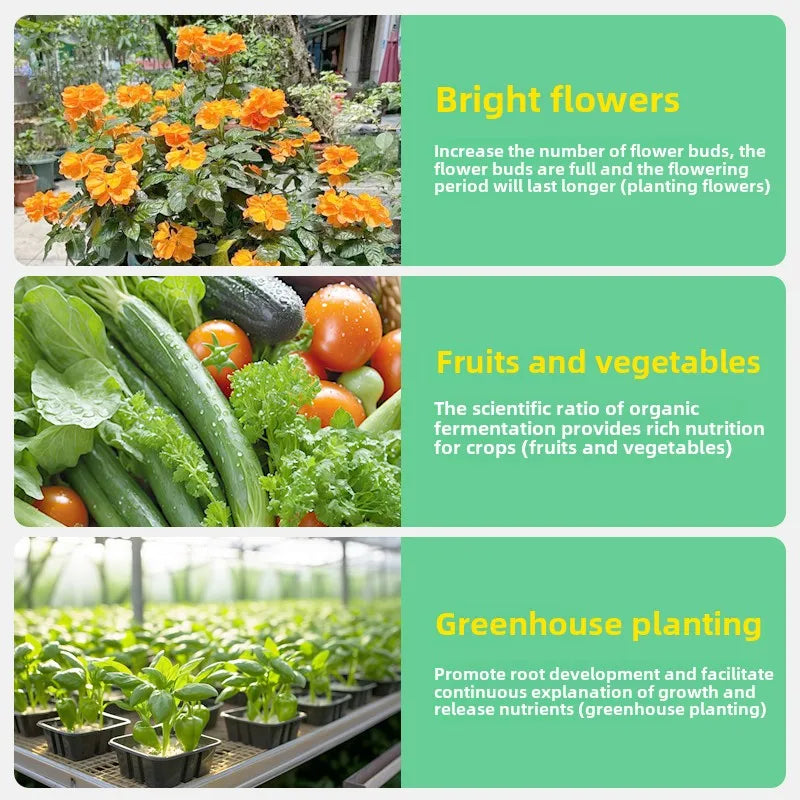 Soybean Meal Organic Fertilizer for Home Vegetable Garden Fermentation and Rotten Potted Vegetable Plants Organic Bacteria