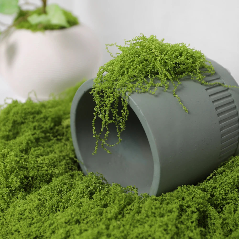 30/50/100g Artificial Green Plants Moss Grass Home Living Room Garden Decoration Mini Landscape Fake Flower DIY Crafts