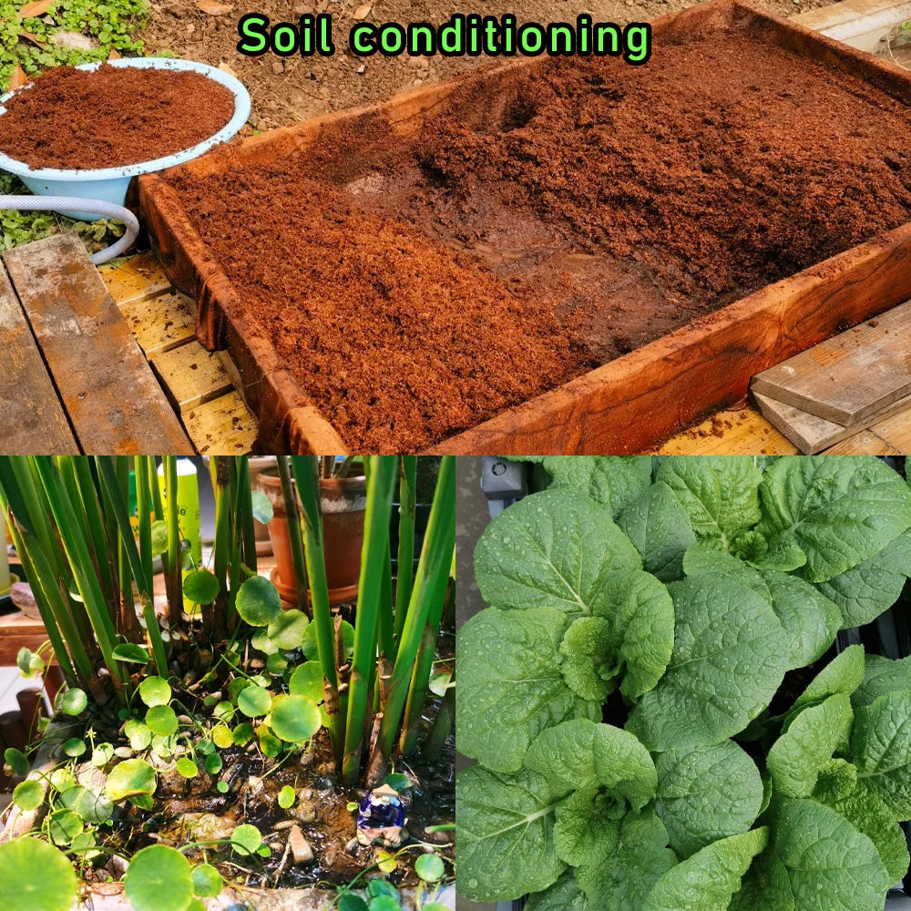 50g EM Effective Microorganisms Organic Fertilizer Compost Fermentation Bran Kitchen Waste Provides Organic Matter To The Soil