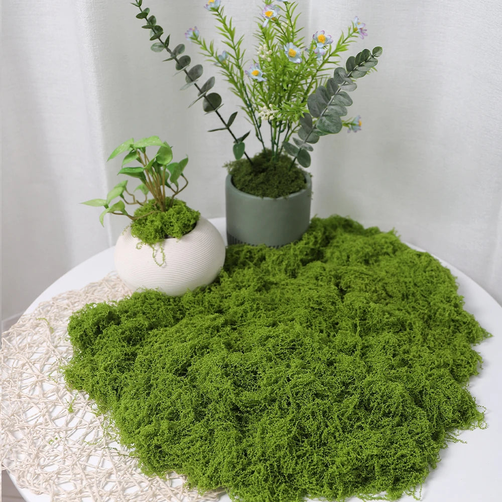 30/50/100g Artificial Green Plants Moss Grass Home Living Room Garden Decoration Mini Landscape Fake Flower DIY Crafts