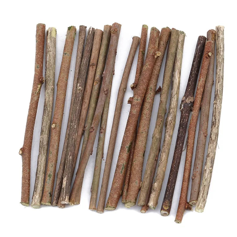 20/40/60PCS Wood Sticks for Crafts Wood Log Sticks Natural Mini Twigs Sticks for Photo Props DIY Crafts Home Decorations