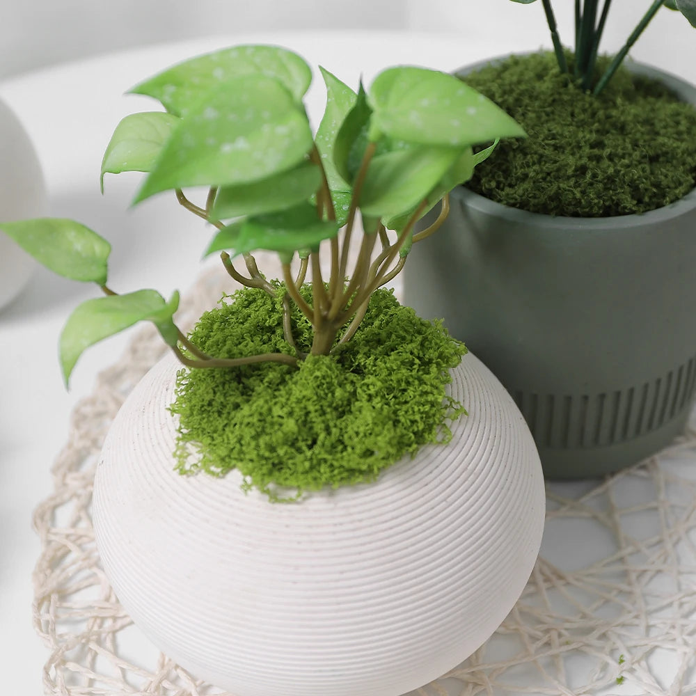 30/50/100g Artificial Green Plants Moss Grass Home Living Room Garden Decoration Mini Landscape Fake Flower DIY Crafts