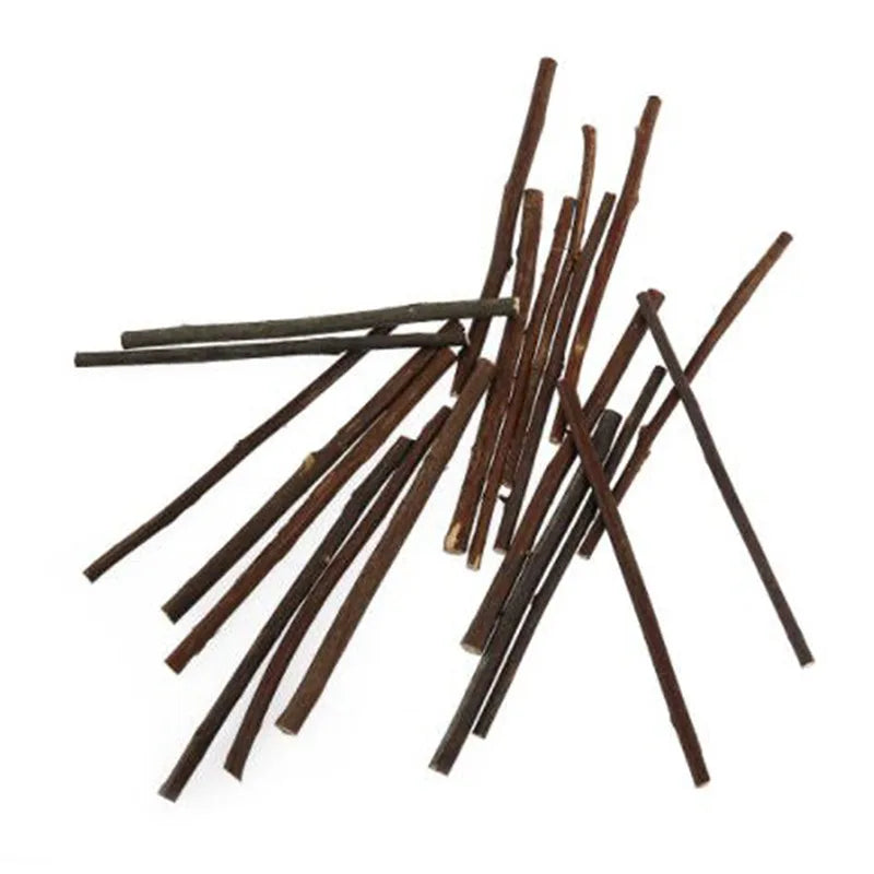20/40/60PCS Wood Sticks for Crafts Wood Log Sticks Natural Mini Twigs Sticks for Photo Props DIY Crafts Home Decorations