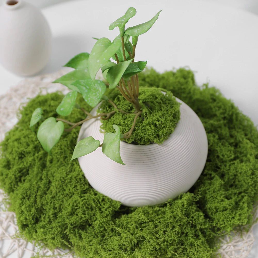 30/50/100g Artificial Green Plants Moss Grass Home Living Room Garden Decoration Mini Landscape Fake Flower DIY Crafts