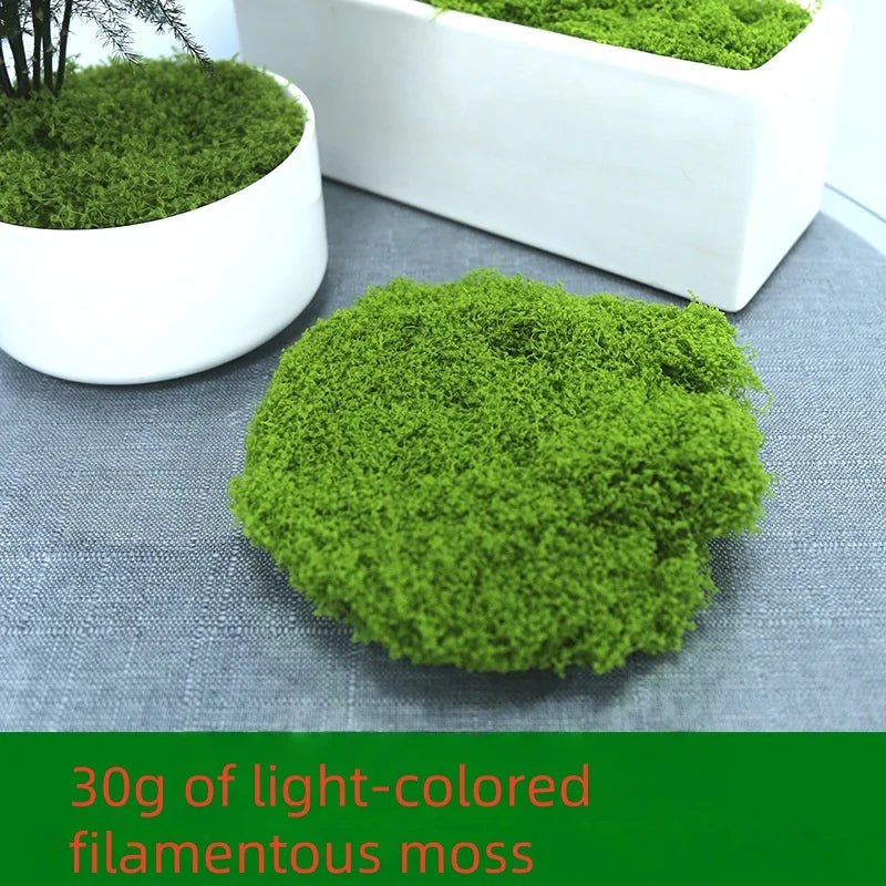 30/50/100g Artificial Green Plants Moss Grass Home Living Room Garden Decoration Mini Landscape Fake Flower DIY Crafts
