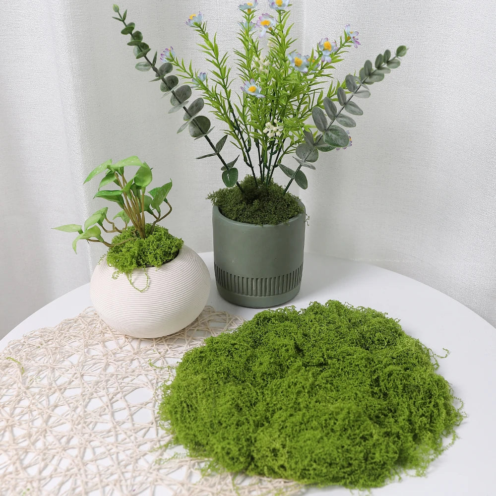 30/50/100g Artificial Green Plants Moss Grass Home Living Room Garden Decoration Mini Landscape Fake Flower DIY Crafts