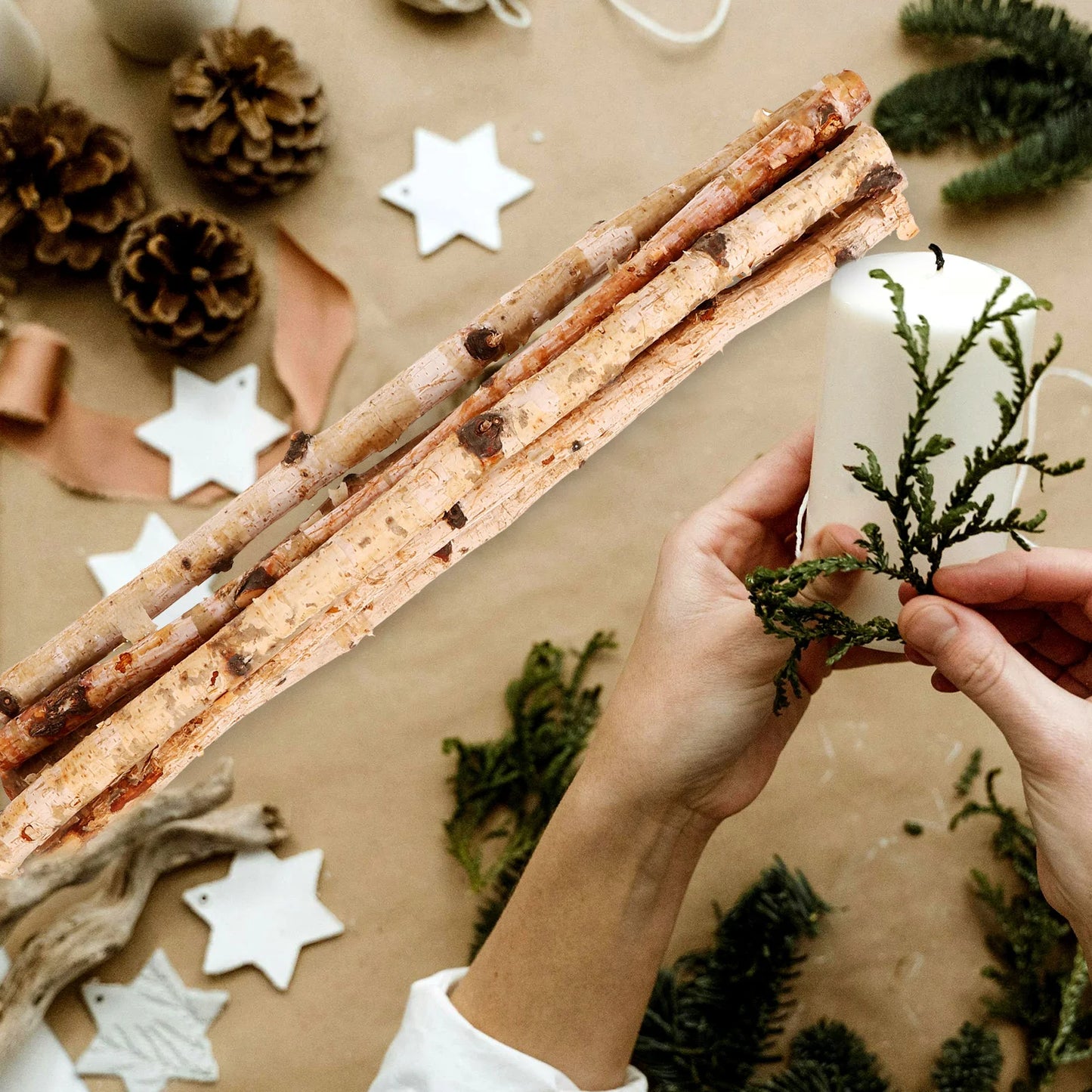 6pcs Natural Wood Sticks Twigs Branches for Crafts DIY Supplies Flower Arrangement Decor Photo Prop Dry Branches Stick Projects