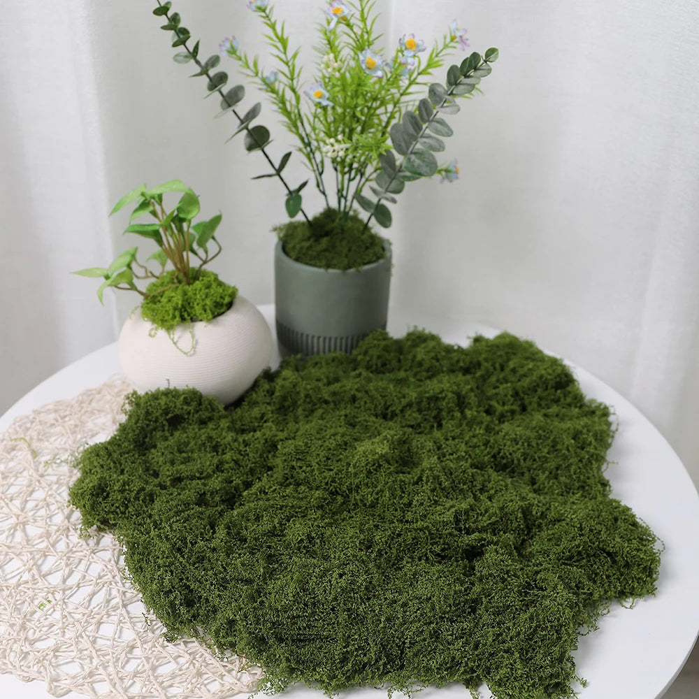 30/50/100g Artificial Green Plants Moss Grass Home Living Room Garden Decoration Mini Landscape Fake Flower DIY Crafts