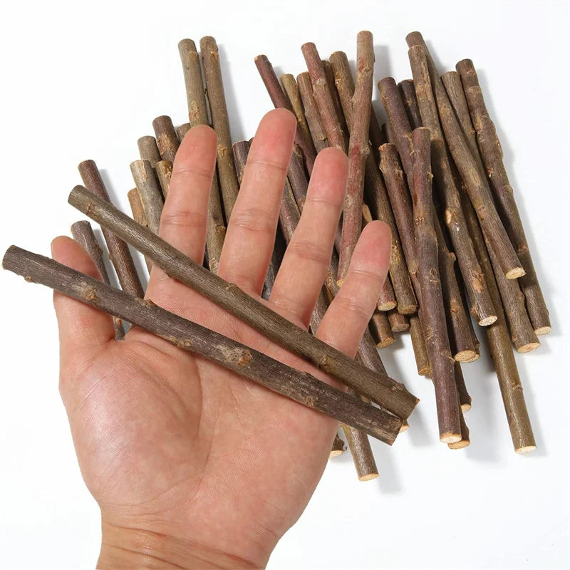 20/40/60PCS Wood Sticks for Crafts Wood Log Sticks Natural Mini Twigs Sticks for Photo Props DIY Crafts Home Decorations