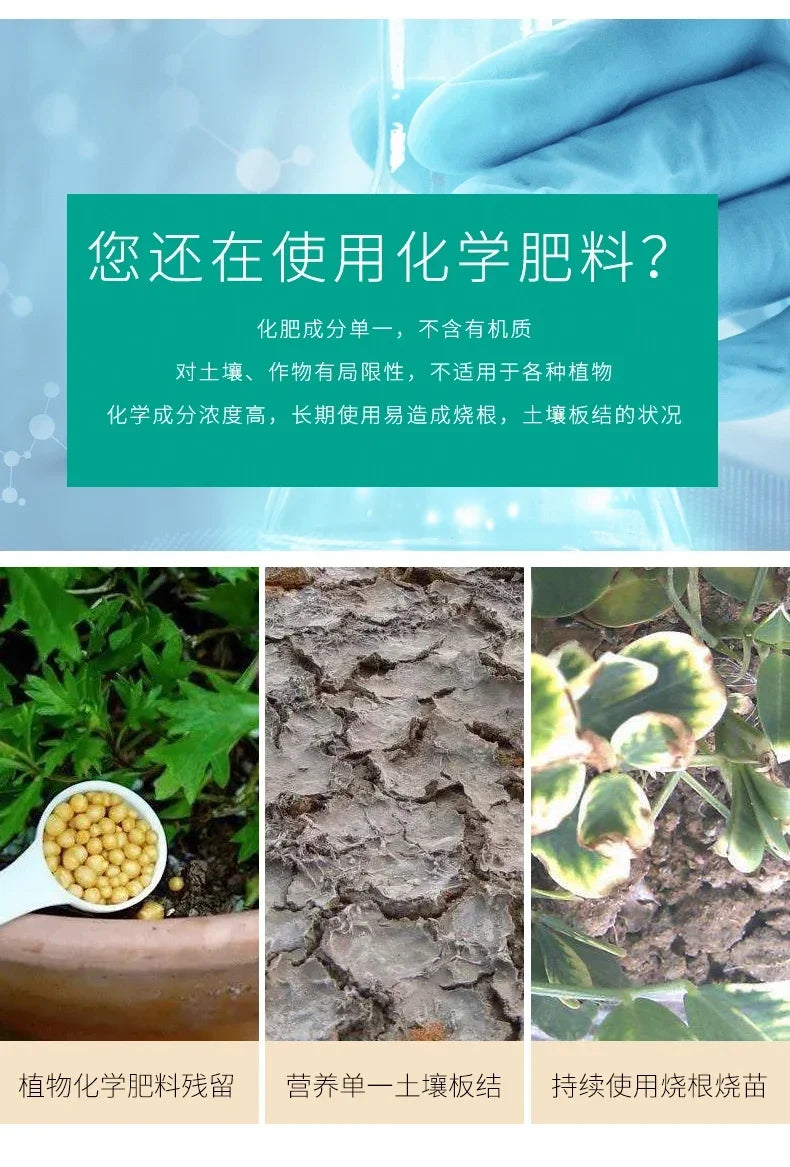 Organic fertilizer, chicken manure fermentation, family growing vegetables, growing flowers, nutrients lasting insect resistance