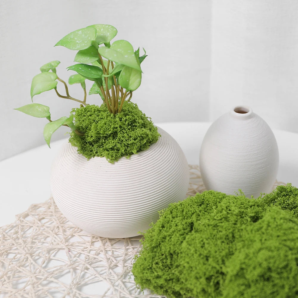 30/50/100g Artificial Green Plants Moss Grass Home Living Room Garden Decoration Mini Landscape Fake Flower DIY Crafts