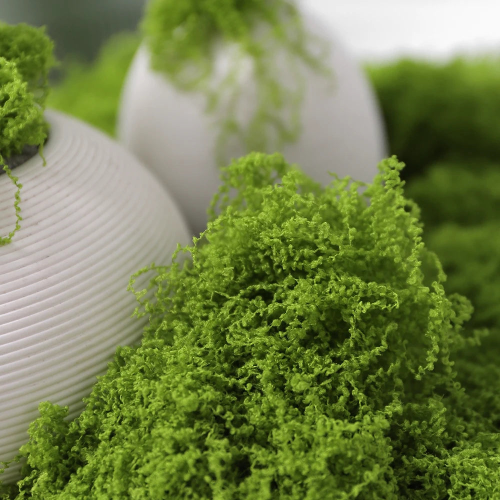 30/50/100g Artificial Green Plants Moss Grass Home Living Room Garden Decoration Mini Landscape Fake Flower DIY Crafts