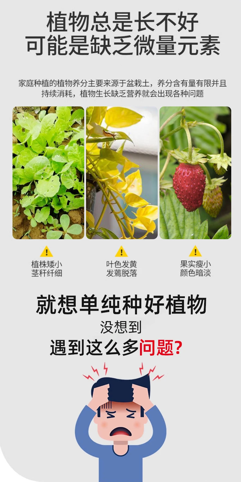Soybean Meal Organic Fertilizer for Home Vegetable Garden Fermentation and Rotten Potted Vegetable Plants Organic Bacteria