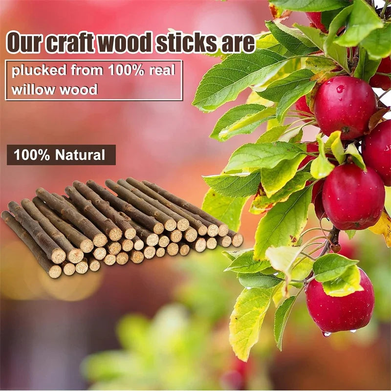 20/40/60PCS Wood Sticks for Crafts Wood Log Sticks Natural Mini Twigs Sticks for Photo Props DIY Crafts Home Decorations