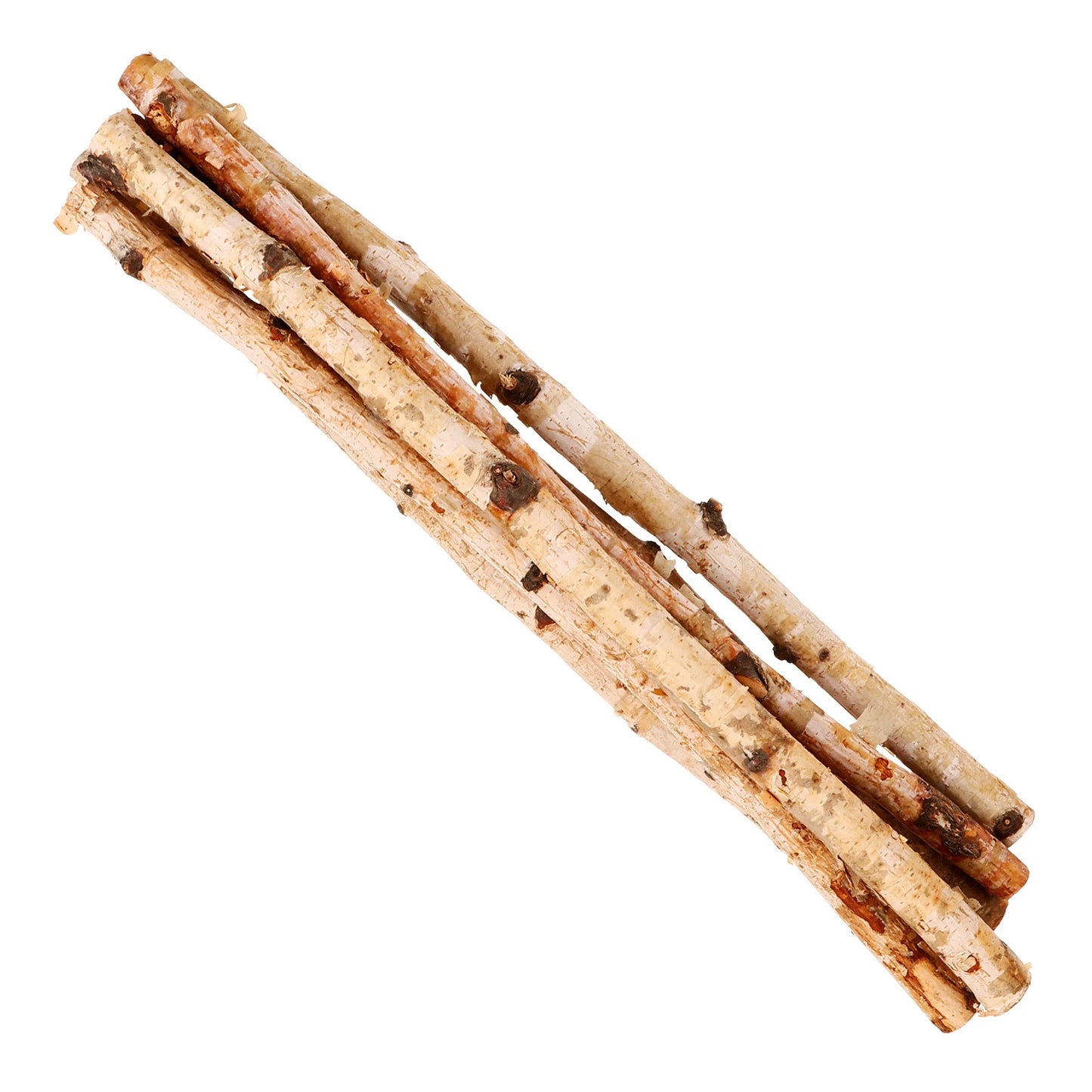 6pcs Natural Wood Sticks Twigs Branches for Crafts DIY Supplies Flower Arrangement Decor Photo Prop Dry Branches Stick Projects